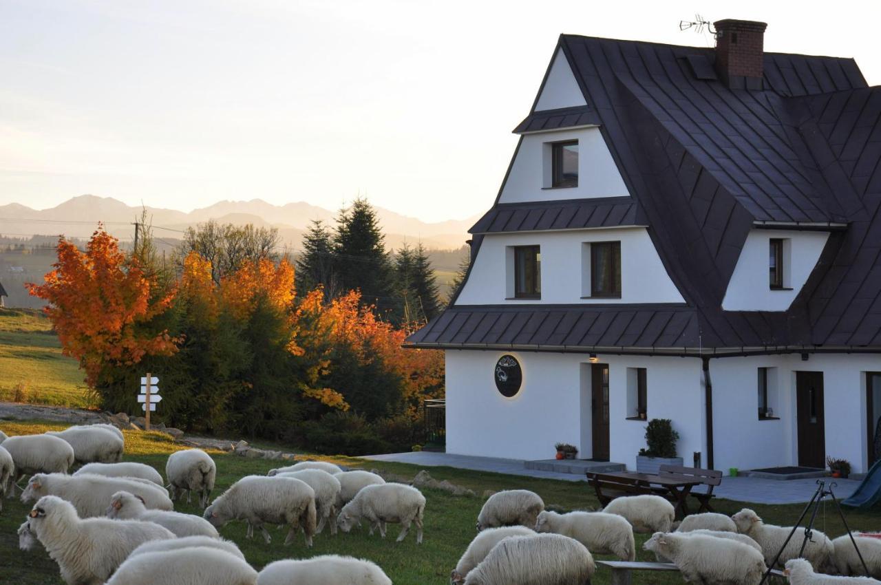 Tatry Na Wypasie Czerwienne